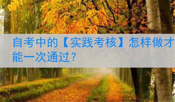 自考中的【实践考核】怎样做才能一次通过？