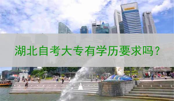 湖北自考大专有学历要求吗？