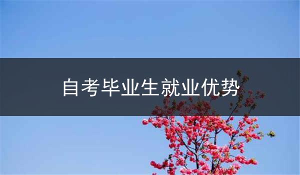 自考毕业生就业优势