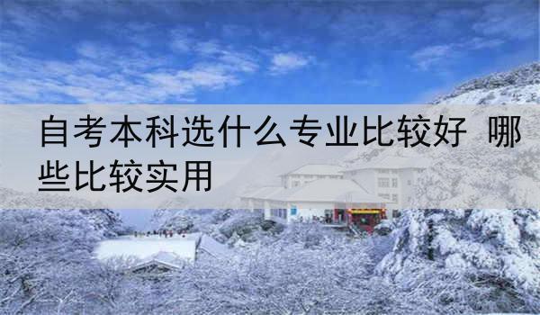 自考本科选什么专业比较好 哪些比较实用