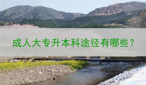 成人大专升本科途径有哪些？