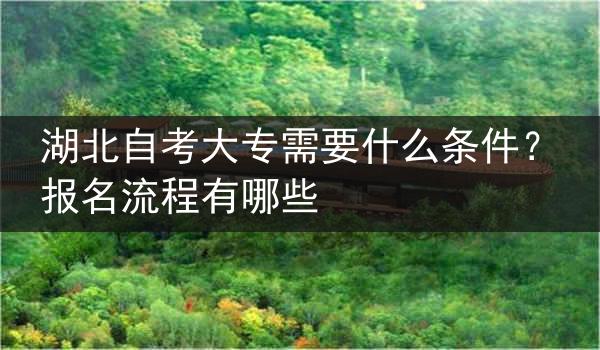 湖北自考大专需要什么条件？报名流程有哪些