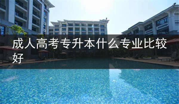 成人高考专升本什么专业比较好