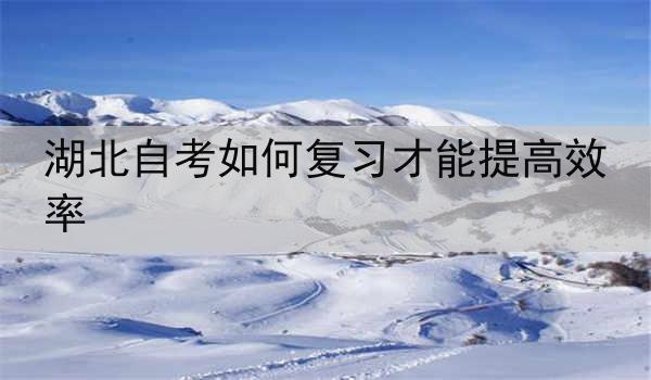 湖北自考如何复习才能提高效率