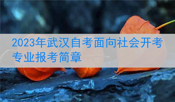 2023年武汉自考面向社会开考专业报考简章