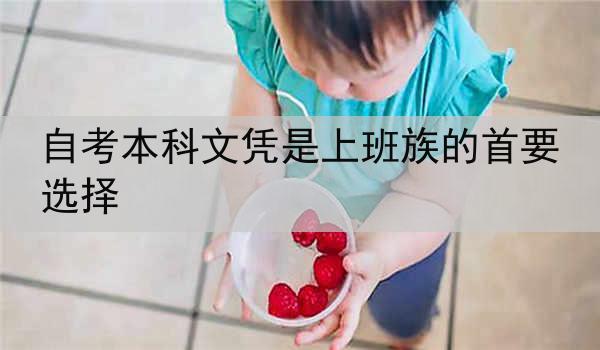 自考本科文凭是上班族的首要选择