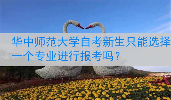 华中师范大学自考新生只能选择一个专业进行报考吗？