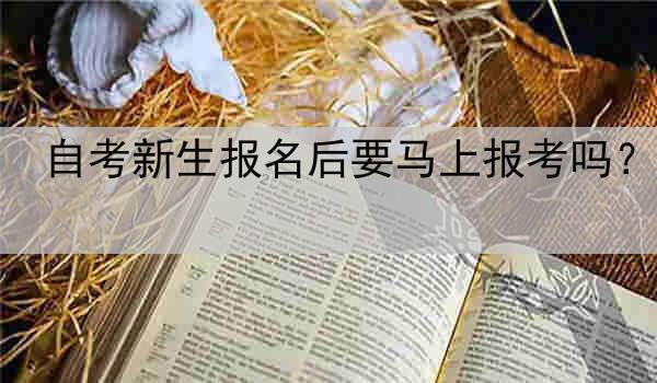 自考新生报名后要马上报考吗？
