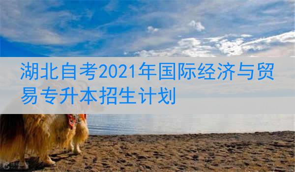 湖北自考2021年国际经济与贸易专升本招生计划
