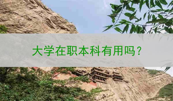 大学在职本科有用吗？