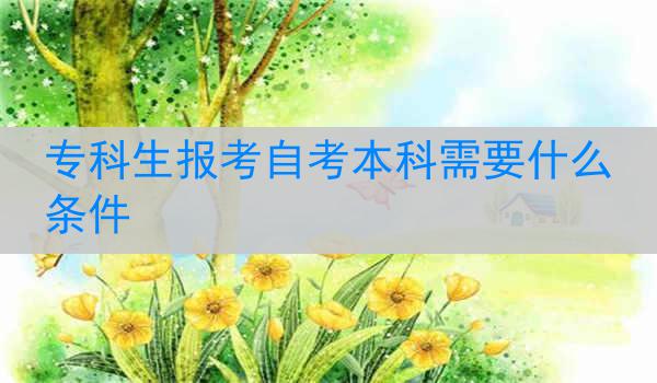 专科生报考自考本科需要什么条件