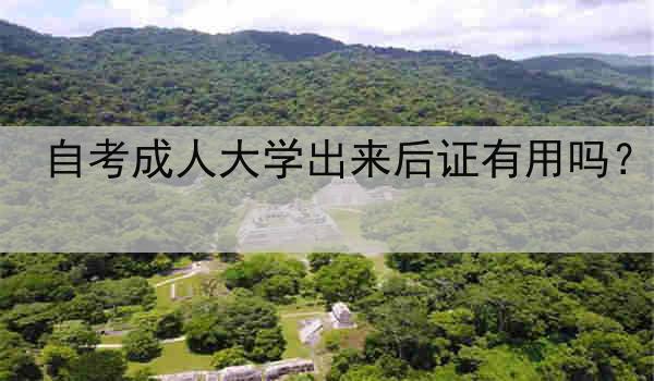 自考成人大学出来后证有用吗？