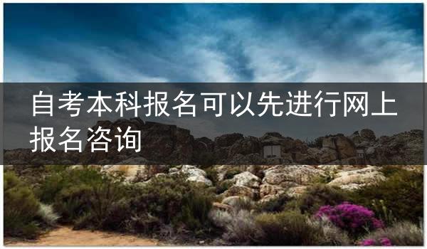 自考本科报名可以先进行网上报名咨询