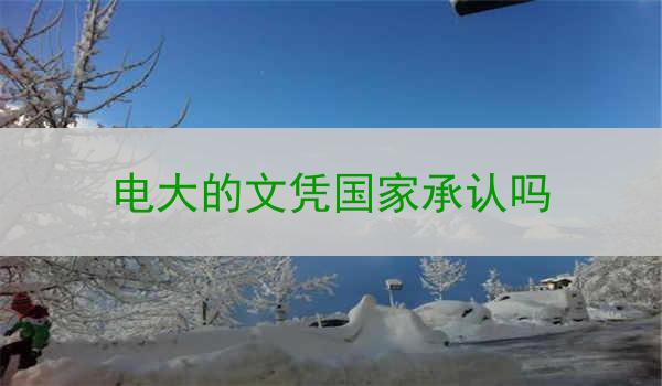 电大的文凭国家承认吗