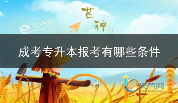 成考专升本报考有哪些条件