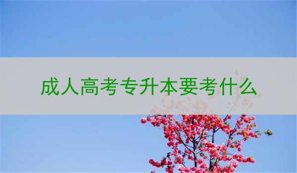 成人高考专升本要考什么