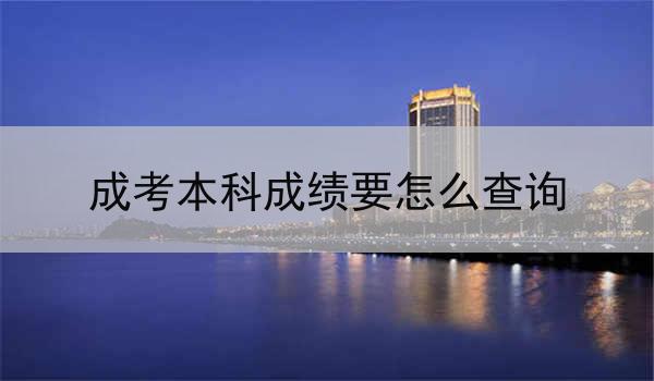 成考本科成绩要怎么查询