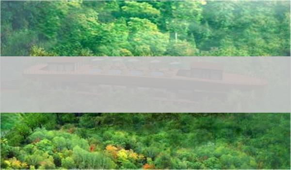 孝感成高考学费怎么样?