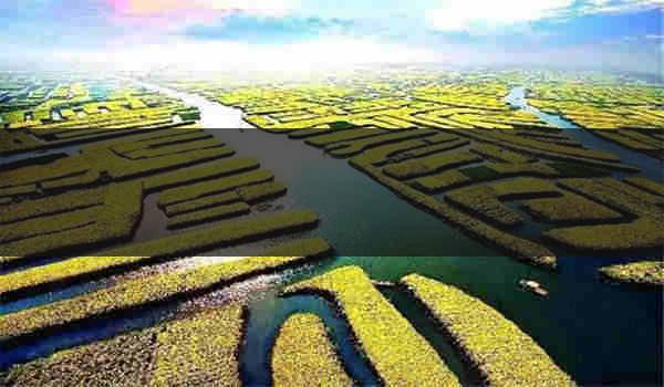 自考大专文凭有用吗 有必要考吗