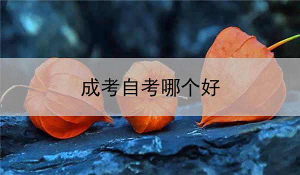成考自考哪个好