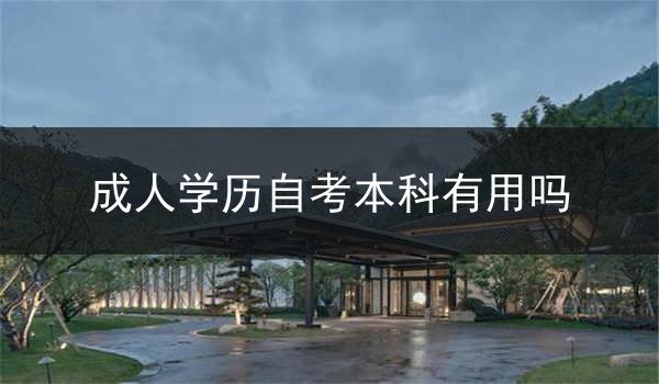 成人学历自考本科有用吗