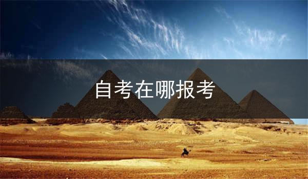 自考在哪报考