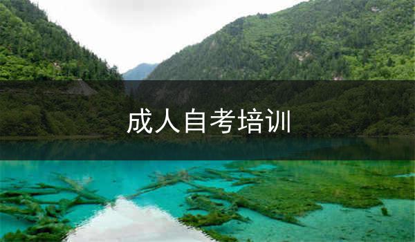 成人自考培训