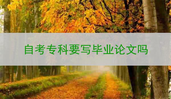 自考专科要写毕业论文吗