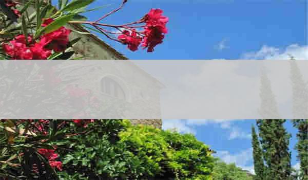 自考与成人本科的相同点