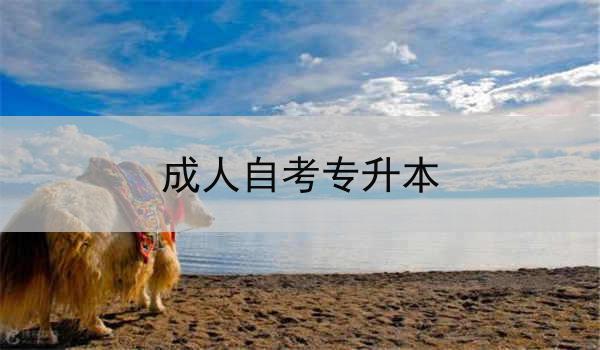 成人自考专升本