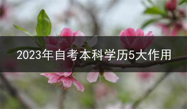 2023年自考本科学历5大作用