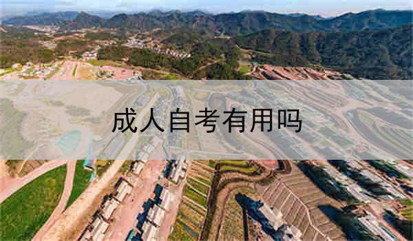 湖北成人自考有用吗