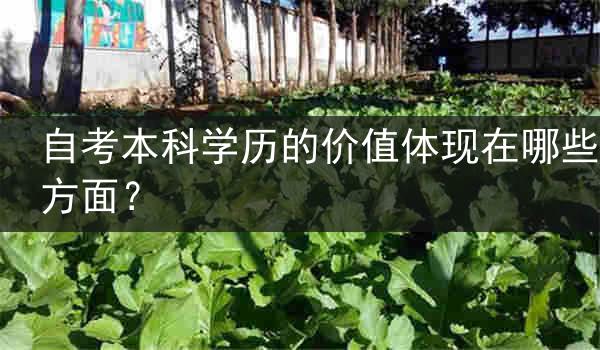 自考本科学历的价值体现在哪些方面？