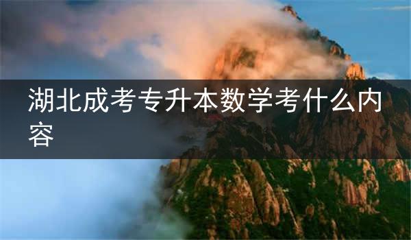 湖北成考专升本数学考什么内容