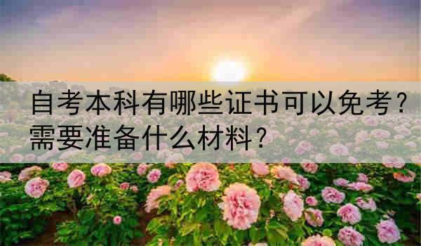 自考本科有哪些证书可以免考？需要准备什么材料？