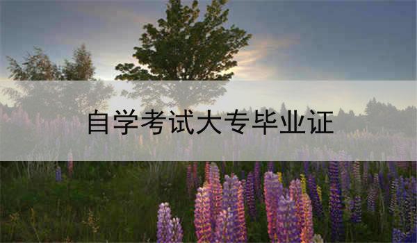 湖北自学考试大专毕业证