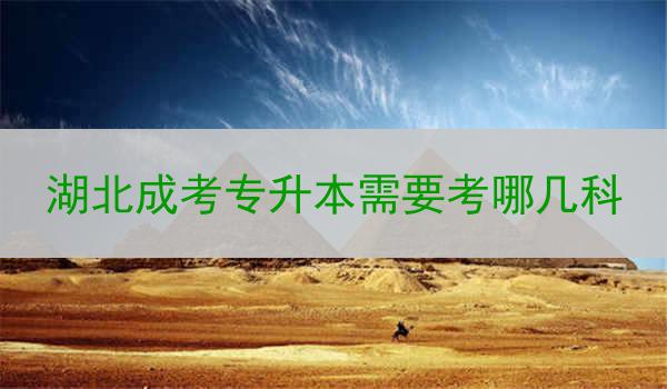 湖北成考专升本需要考哪几科