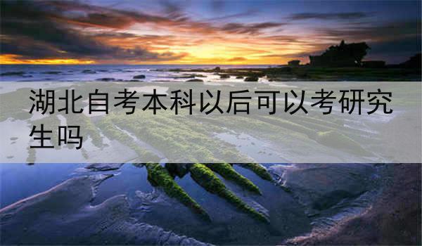 湖北自考本科以后可以考研究生吗