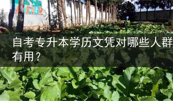 自考专升本学历文凭对哪些人群有用？