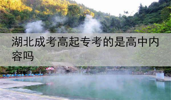湖北成考高起专考的是高中内容吗