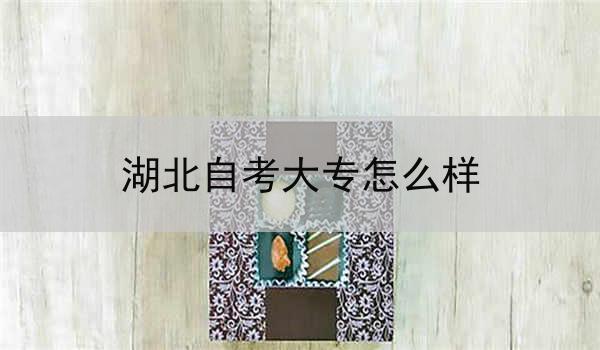 湖北自考大专怎么样