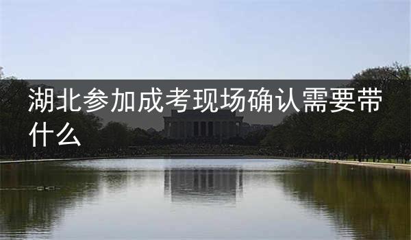 湖北参加成考现场确认需要带什么