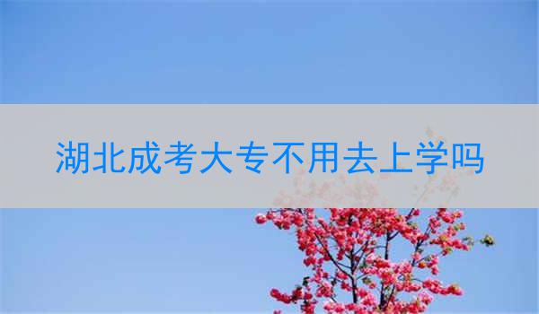 湖北成考大专不用去上学吗