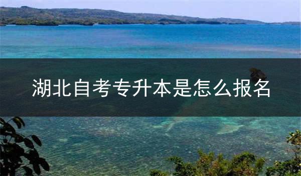 湖北自考专升本是怎么报名
