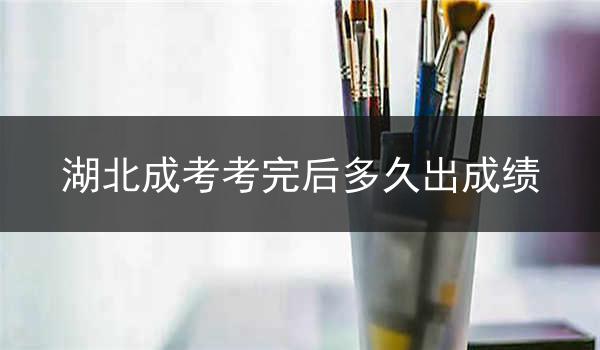 湖北成考考完后多久出成绩