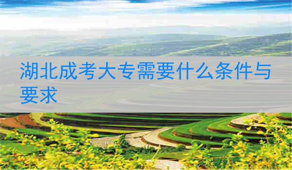 湖北成考大专需要什么条件与要求