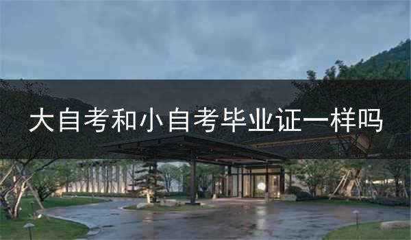 大自考和小自考毕业证一样吗