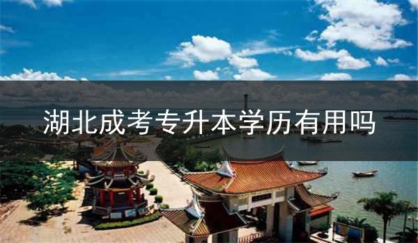 湖北成考专升本学历有用吗