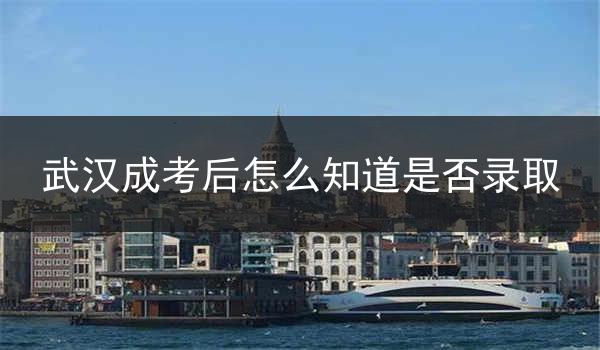 武汉成考后怎么知道是否录取