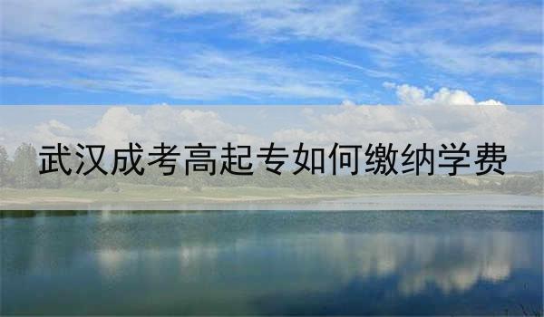 武汉成考高起专如何缴纳学费